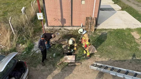 Kuyuya Düşen Koyun Kurtarıldı