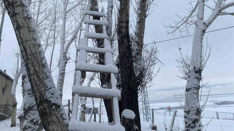 Ağrı'da Kar Yağışı Etkili Oldu