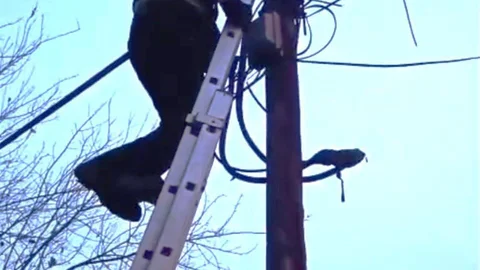 Batman'da Direkte Mahsur Kalan Kedi Kurtarıldı