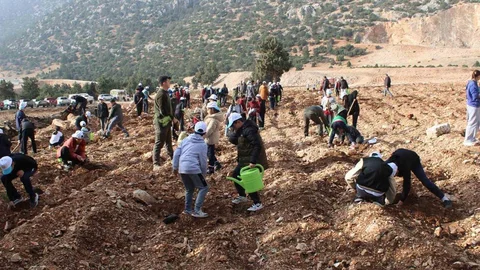 Korkuteli'nde Fidan Dikimi Etkinliği