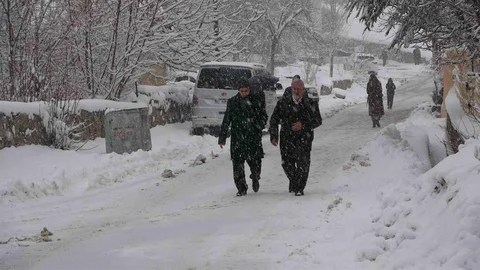 Bitlis'te Yoğun Kar Yağışı Etkili Oldu