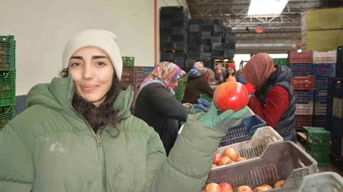 Korkuteli'den Nar İhracatı Başladı