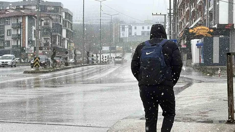 Düzce'de Mevsimin İlk Karı Yağdı