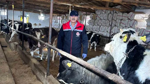 Beyşehir'de Hayvancılık Faaliyetleri Devam Ediyor