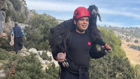 Mersin'de Mahsur Kalan İki Keçi Kurtarıldı