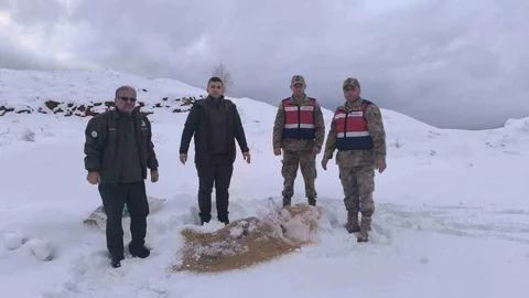 Siirt'te Yaban Hayvanları İçin Yiyecek Bırakıldı