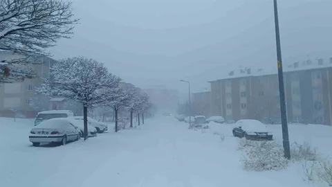 Van'da Kar Yağışı Etkili Oldu