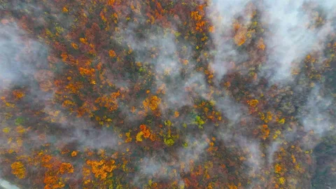 Kocaeli'de Kartpostallık Manzaralar