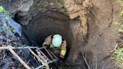 Kırkağaç'ta Kuyuya Düşen Köpek Kurtarıldı