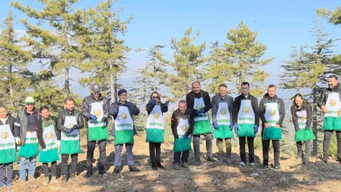 Adana'da 50 Ton Sedir Tohumu Toprakla Buluştu