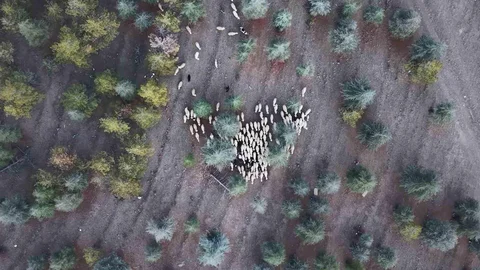 Kırıkkale'de Mera Arazisi İle İlgili İnceleme