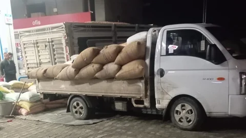 Fındık Fiyatları Zonguldak'ta Yükseliyor