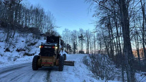 Osmangazi'de Buzlanmaya Karşı Tuzlama Çalışmaları