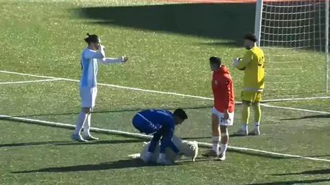 Tunceli'de Ceza Sahasında Köpek Şaşkınlığı