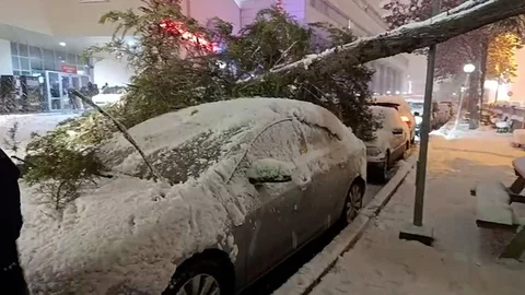 Bolu'da Ağaç Devrildi, Araç Hasar Gördü