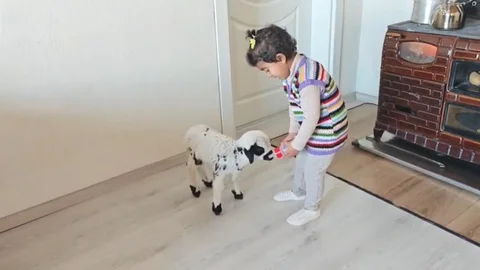 Ezo’nun Kuzusu: Sevgi Dolu Anlar