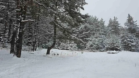 Ankara Yaylaları Karla Kaplandı