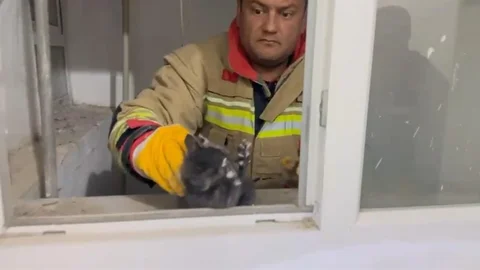 Hatay'da Yavru Kedi Kurtarıldı