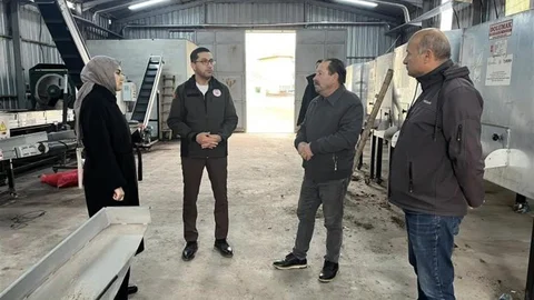 Gölpazarı’nda Ceviz Üretimi Güçleniyor