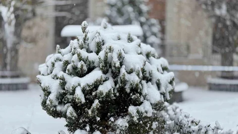 Mazıdağı’nda Kar Yağışı Etkili Oluyor
