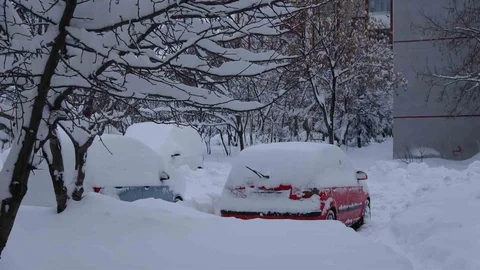 Bitlis'te 87 Köy Yolu Kapandı