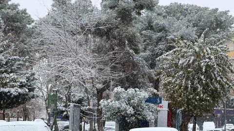 Siverek'te Kar Yağışı Etkili Oldu