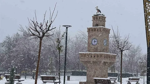 Batman'da Kar Keyfi Yaşandı