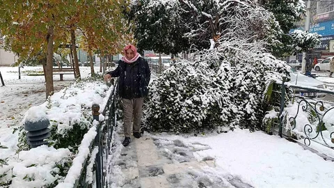 Şanlıurfa’da Kar Yağışı Ağaç Devrildi