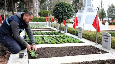 Kocaeli'de Şehitliklerde Bakım Çalışmaları