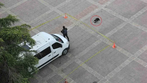 Köpekten Örnek Davranış: Güvenlik Şeridini İhlal Etmedi