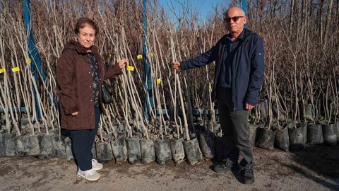 Kocaeli'de Üreticilere Fidan Dağıtımı Yapılacak