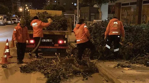 Mersin’de Şiddetli Rüzgar Ağaçları Deviriyor