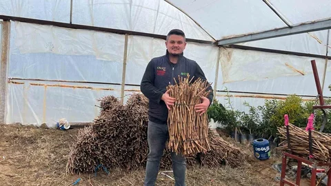 Genç Kardeşlerden Sarıgöl'e Fidan Üretimi Hamlesi