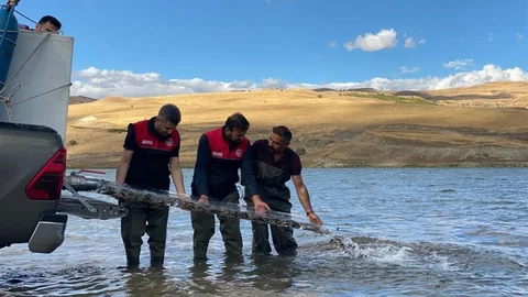 Türkiye Nüfusu Kadar Balık Bırakıldı