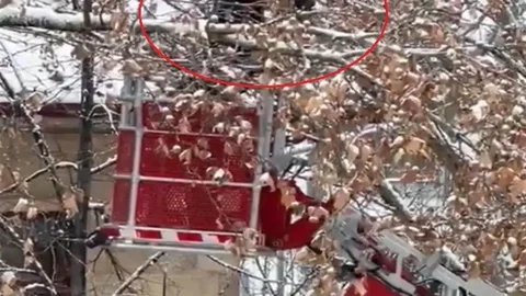 Bayburt'ta Kargayı İtfaiye Kurtardı