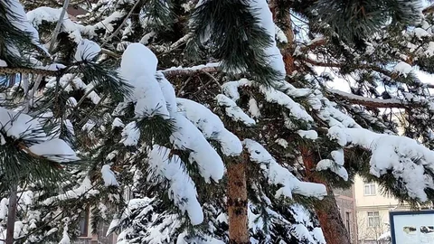Ardahan'da Kar Görsel Şöleni