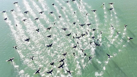 Elazığ'da Kara Bataklar Görüntülendi