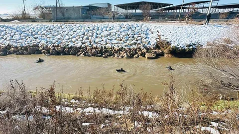 Kayıp Sürücü İçin Arama Çalışmaları Devam Ediyor