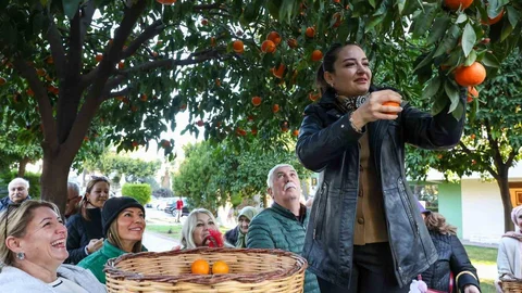 Antalya'nın Taze Turnçları Sofralara Geliyor