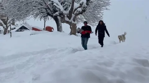 Siirt’te Buzlanma ve Don Tehlikesi