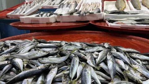 Geciken Kış Konya'da Balık Fiyatlarını Etkiledi