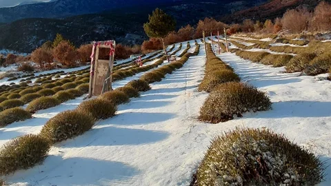 Derebucak'ta Kar Yağışı Etkili Oldu