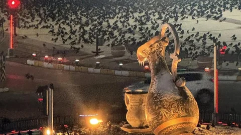 Erzincan'da Kargalar Sokakları Sardı