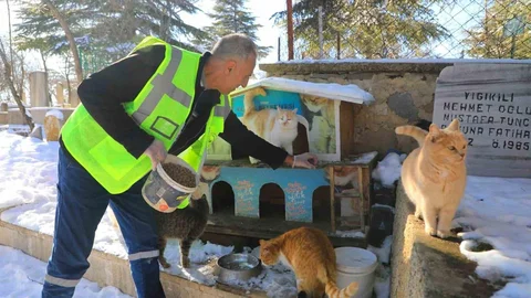 Elazığ'da Sokak Hayvanlarına Yem Bırakıldı