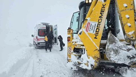 Van'da Kar Yağışı Ulaşımı Olumsuz Etkiledi