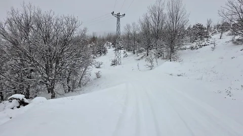 Elazığ'da Kar Yağışı Etkili Oldu