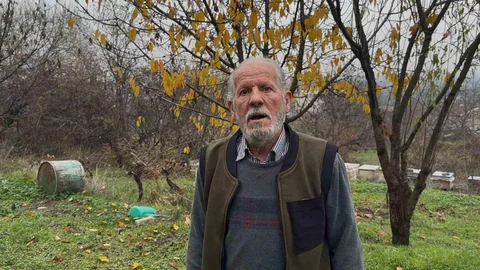 Bursa'da Arıların Ölümüne Zirai İlaç Etkisi