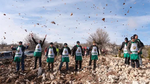 Mersin'de Sedir Ormanı Oluşturuldu