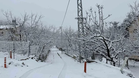 Mersin'de Kış Manzarası