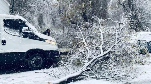 Birecik'te Ağaç Dalları Araçların Üzerine Düştü